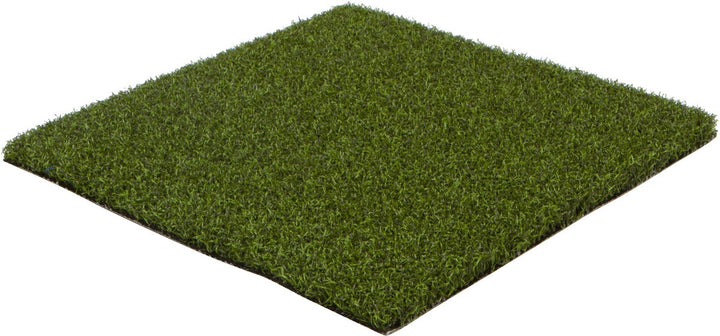 Collegiate Astros sports turf